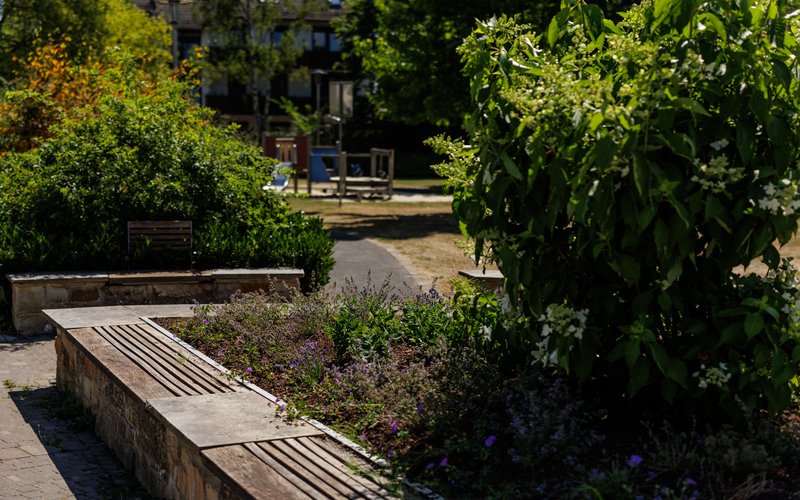 Bürgerpark Büren