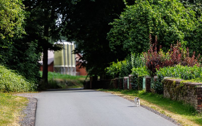 Straßen und Wege im Gemeindegebiet