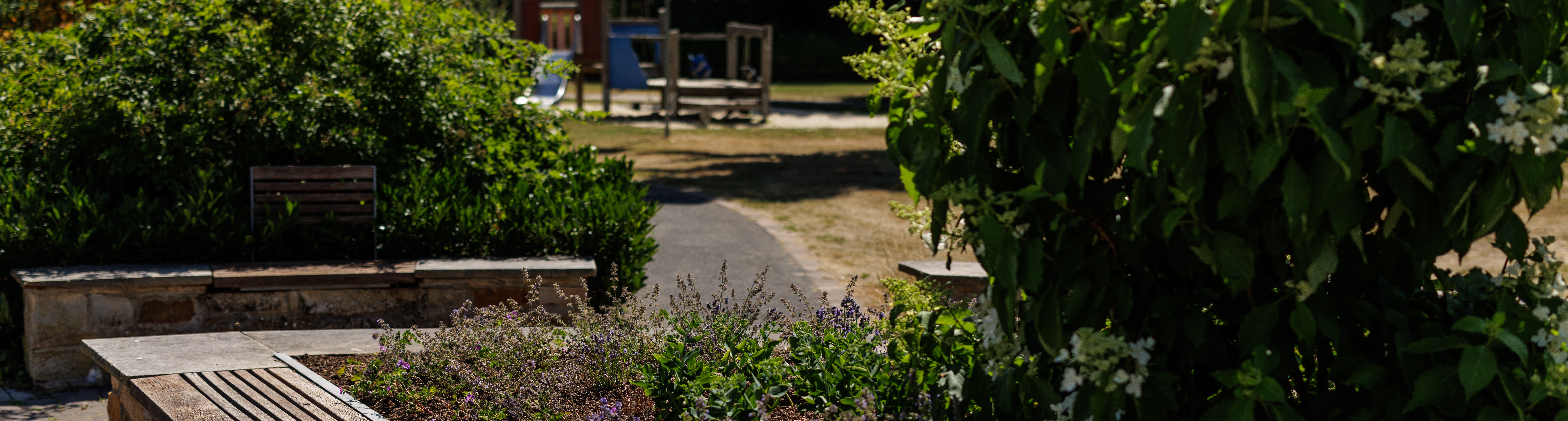 Bürgerpark Büren